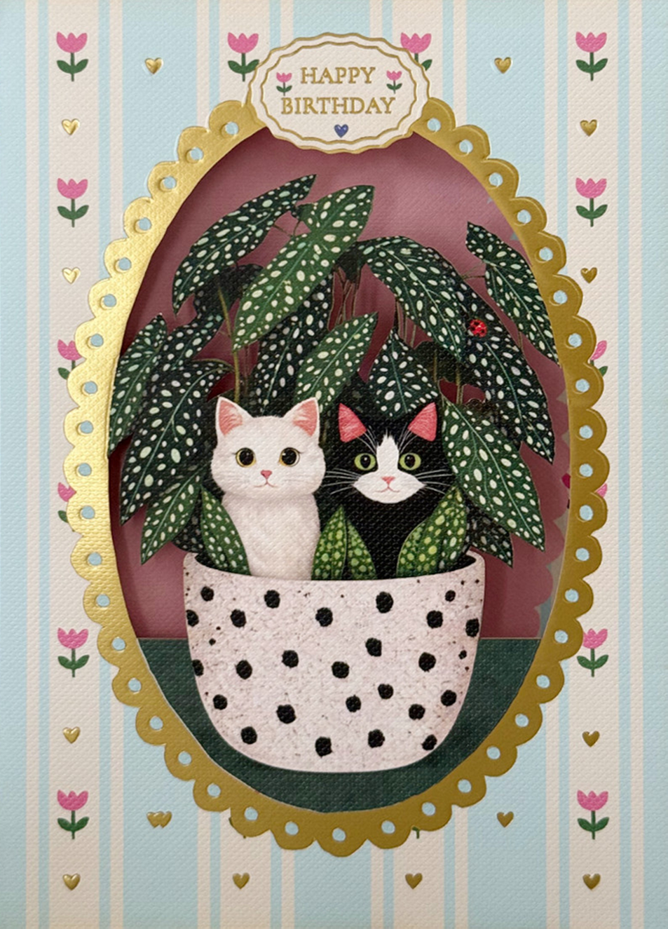 BIRTHDAY DIECUT PLANT CATS GREETING CARD ALLJOY - r. h. ballard shop & gallery