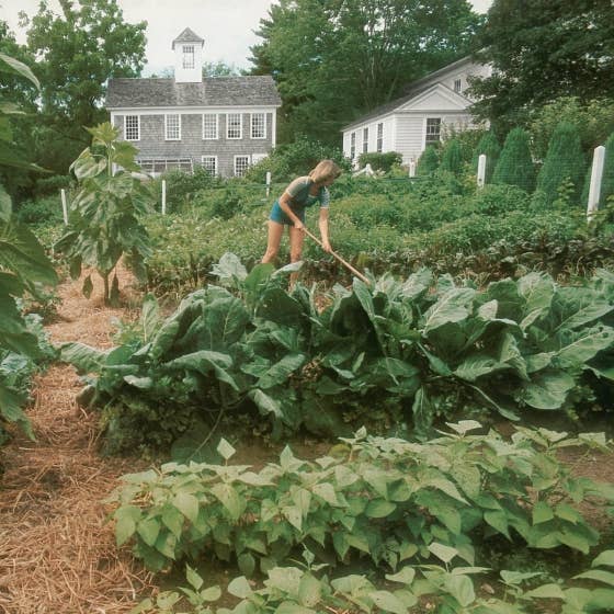 Entertaining by Martha Stewart, Original 1982