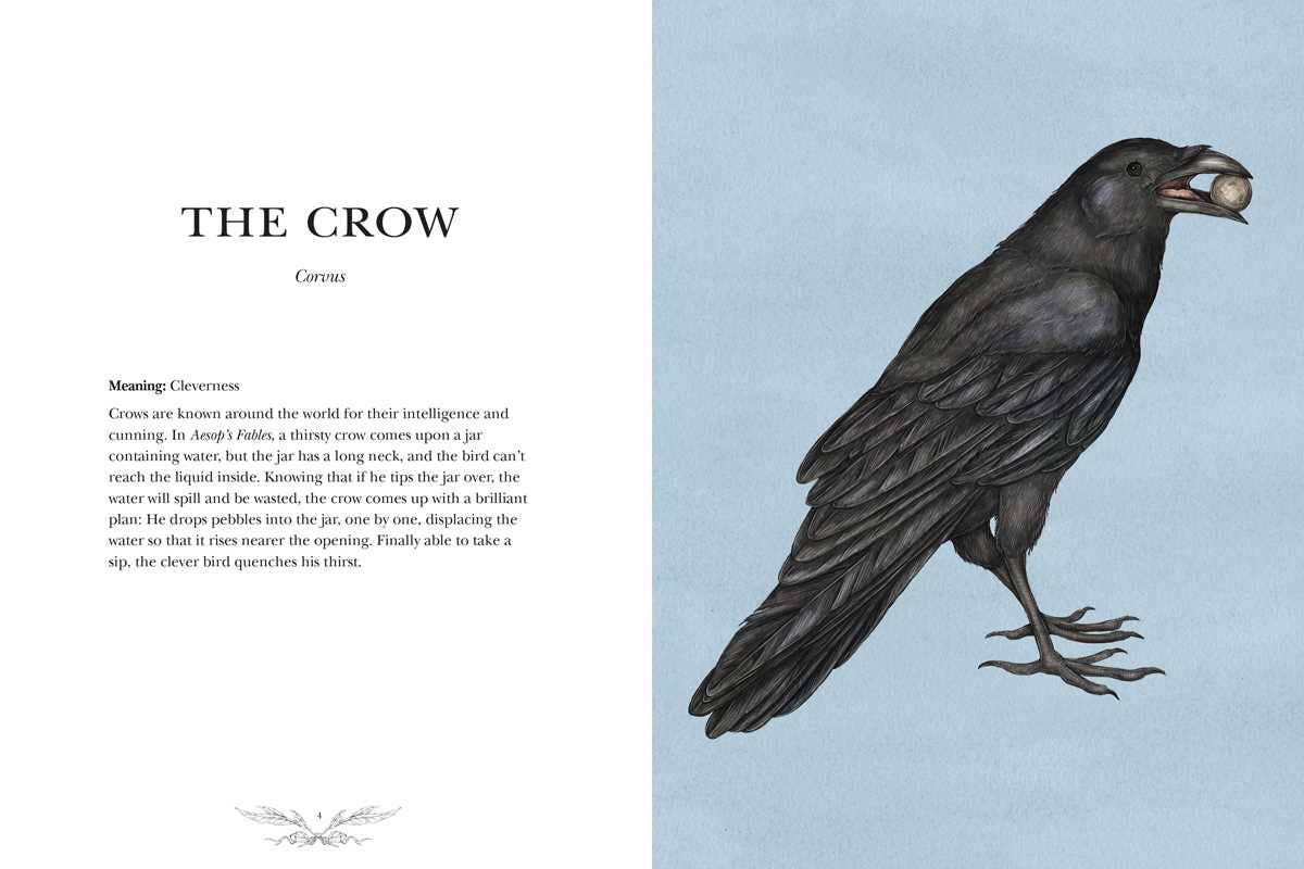Ornithography by Jessica  Roux: Hardcover; 224 pages / English - r. h. ballard shop & gallery