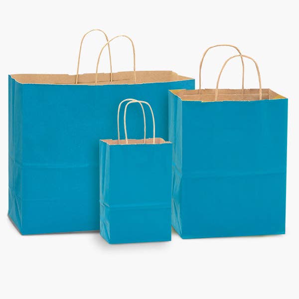 Recycled Kraft Color Paper Retail Shopping Bags: Black / 100 Pack / Rose 5.5x3.25x8.375" - r. h. ballard shop & gallery