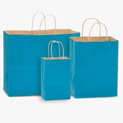 Recycled Kraft Color Paper Retail Shopping Bags: Black / 100 Pack / Rose 5.5x3.25x8.375" - r. h. ballard shop & gallery