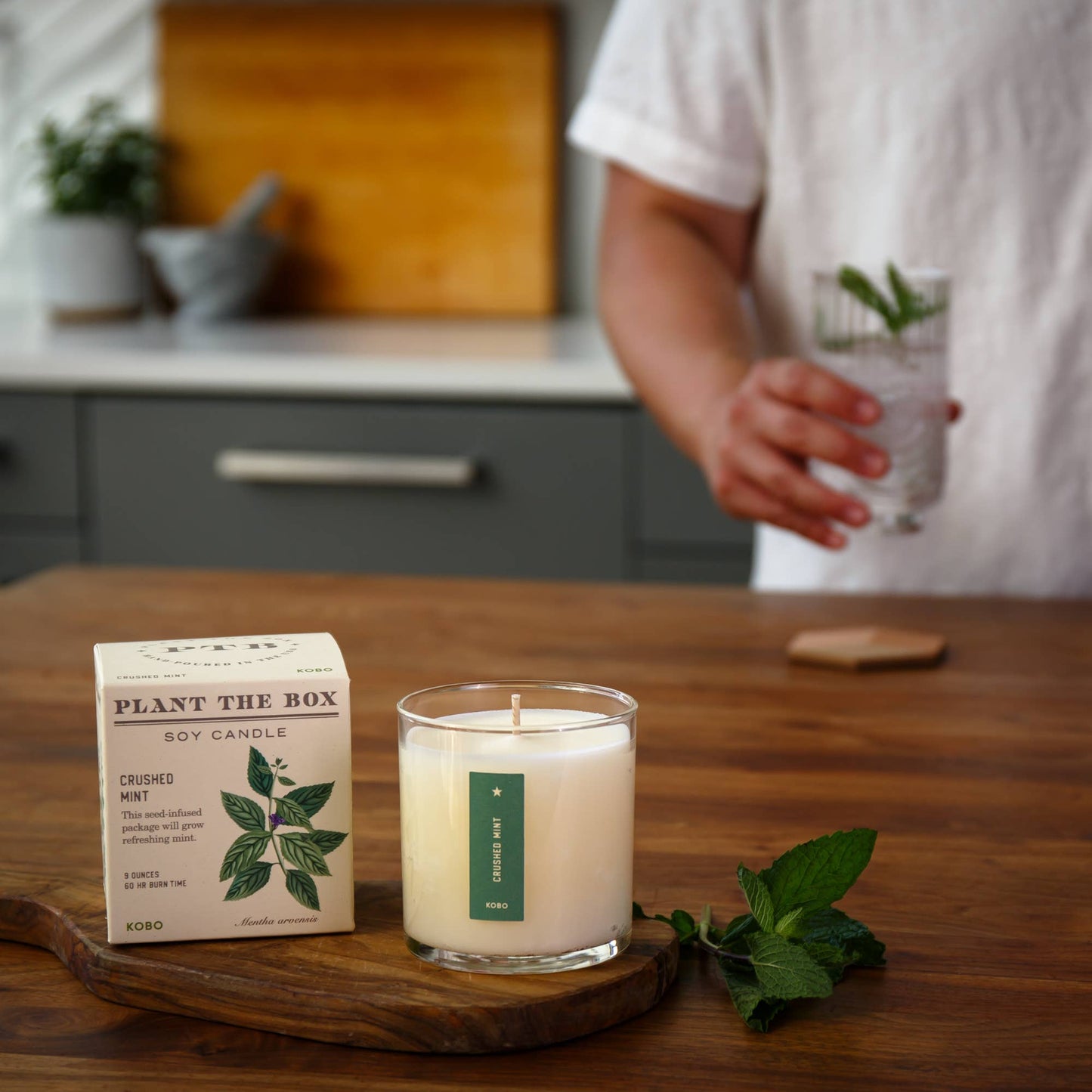 Crushed Mint - Plant the Box Candle - 9oz.