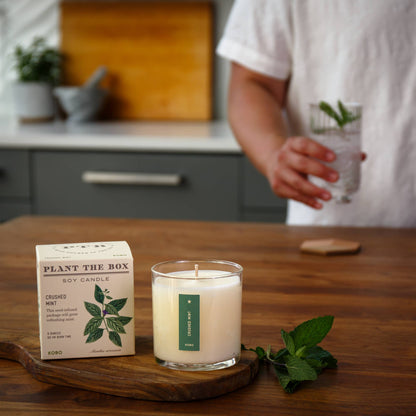 Crushed Mint - Plant the Box Candle - 9oz.