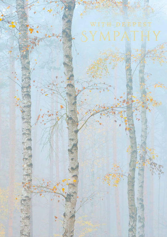 SYMPATHY GREETING CARD BIRCH TREES ABACUS