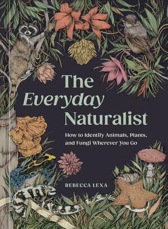 The Everyday Naturalist - r. h. ballard shop & gallery