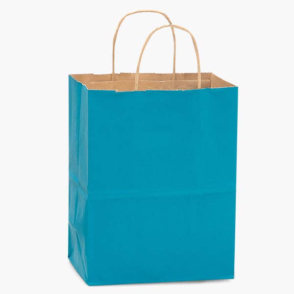 Recycled Kraft Color Paper Retail Shopping Bags: Black / 100 Pack / Rose 5.5x3.25x8.375" - r. h. ballard shop & gallery