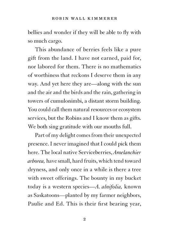 Serviceberry by Robin Wall Kimmerer: Hardcover; 128 pages / English - r. h. ballard shop & gallery