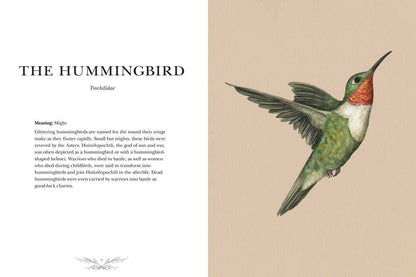 Ornithography by Jessica  Roux: Hardcover; 224 pages / English - r. h. ballard shop & gallery