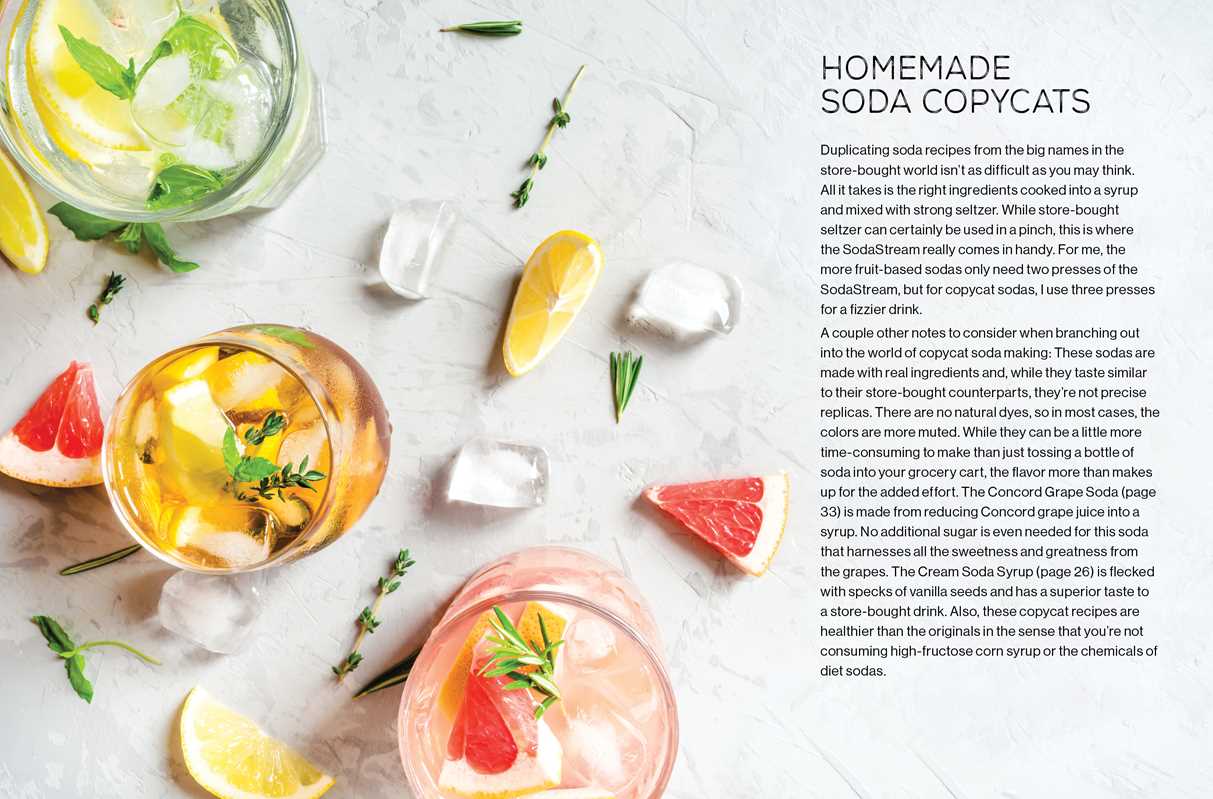 Fizz by Andrea Lynn: Hardcover; 144 pages / English - r. h. ballard shop & gallery