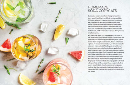 Fizz by Andrea Lynn: Hardcover; 144 pages / English - r. h. ballard shop & gallery