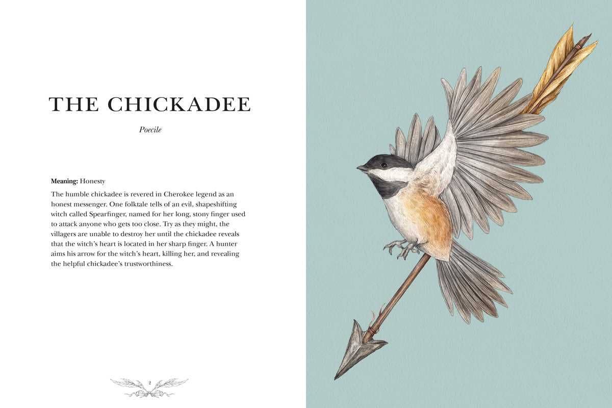 Ornithography by Jessica  Roux: Hardcover; 224 pages / English - r. h. ballard shop & gallery