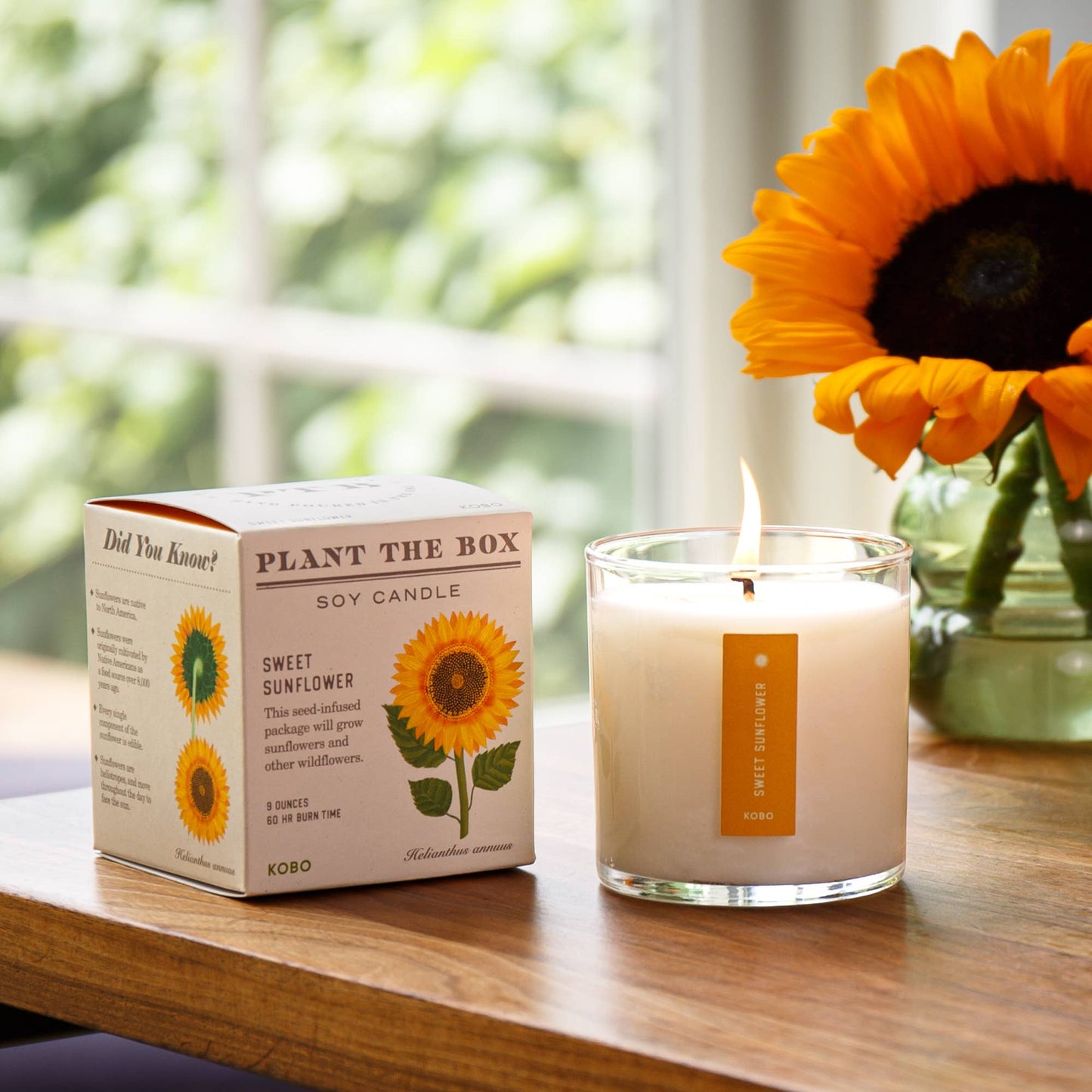 Sweet Sunflower - Plant the Box Candle - 9oz.