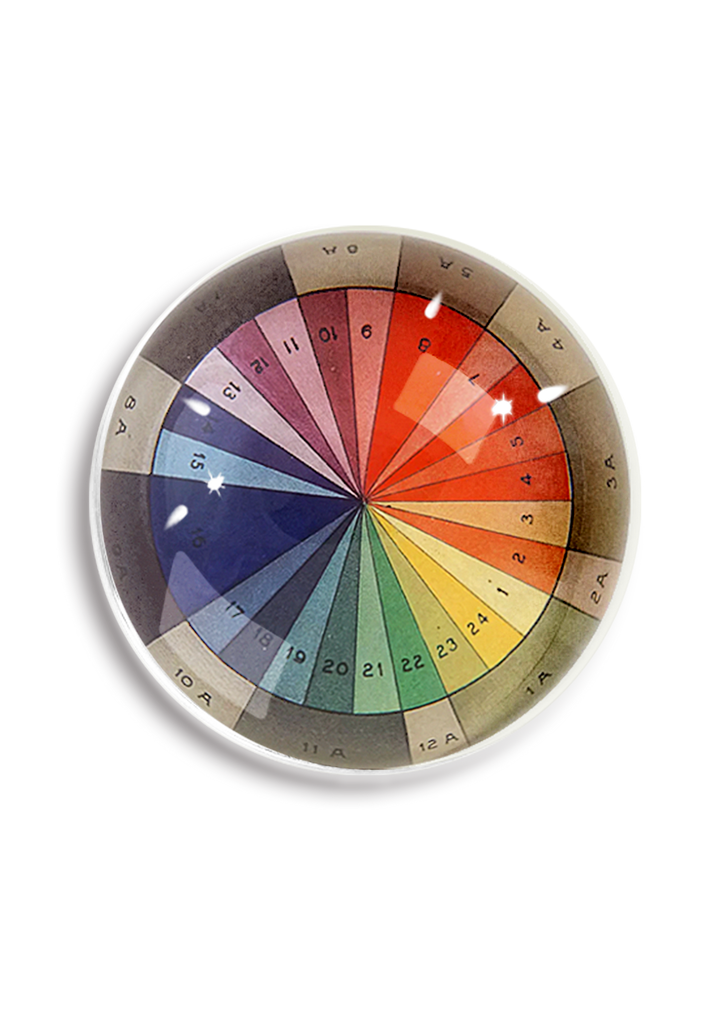 Color Spectrum Study Dome Paperweight