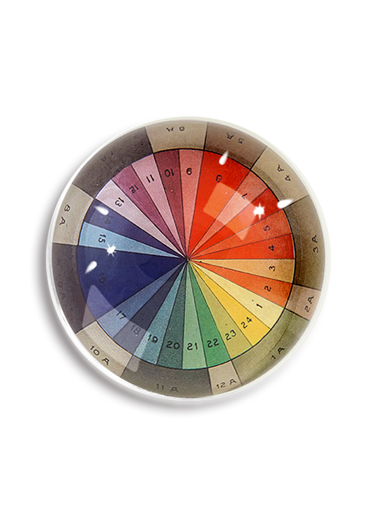 Color Spectrum Study Dome Paperweight