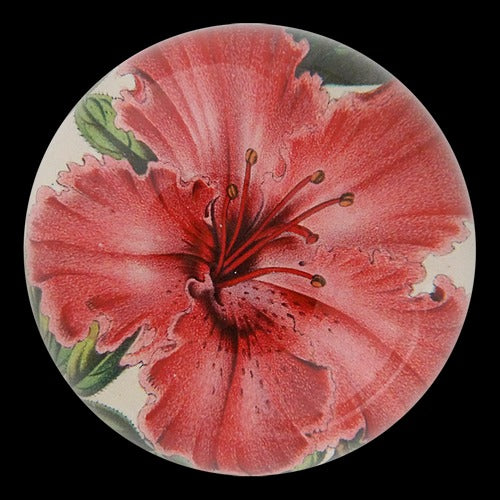 Azalea Indica Dome Paperweight, 3.5in x 1.5in