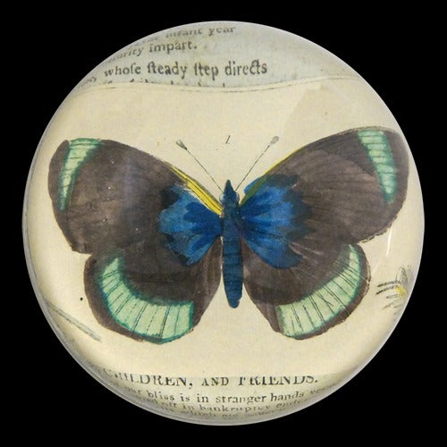 Black & Green Butterfly Dome Paperweight, 3.5in x 1.5in