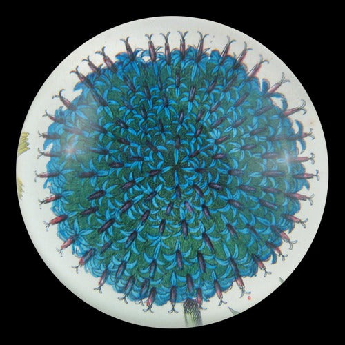 Blue Paradise Flower Dome Paperweight, 3.5in x 1.5in