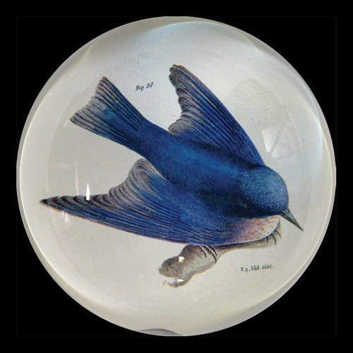 Pudgy Bluebird Dome Paperweight, 3.5in x 1.5in