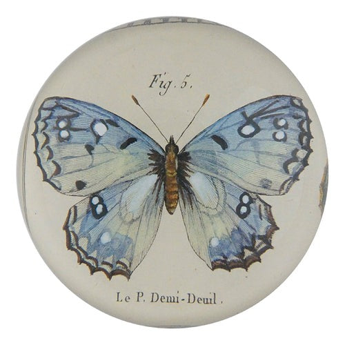 Blue Butterfly Dome Paperweight, 3.5in x 1.5in