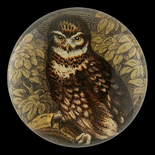 Owl Dome Paperweight, 3.5in x 1.5in