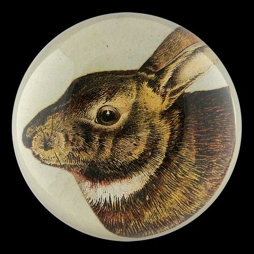 Scrapbook Hare Dome Paperweight, 3.5in x 1.5in