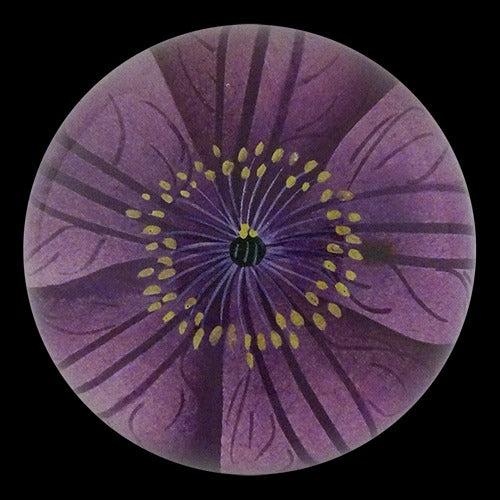 Jackmanii Clematis Dome Paperweight, 3.5in x 1.5in