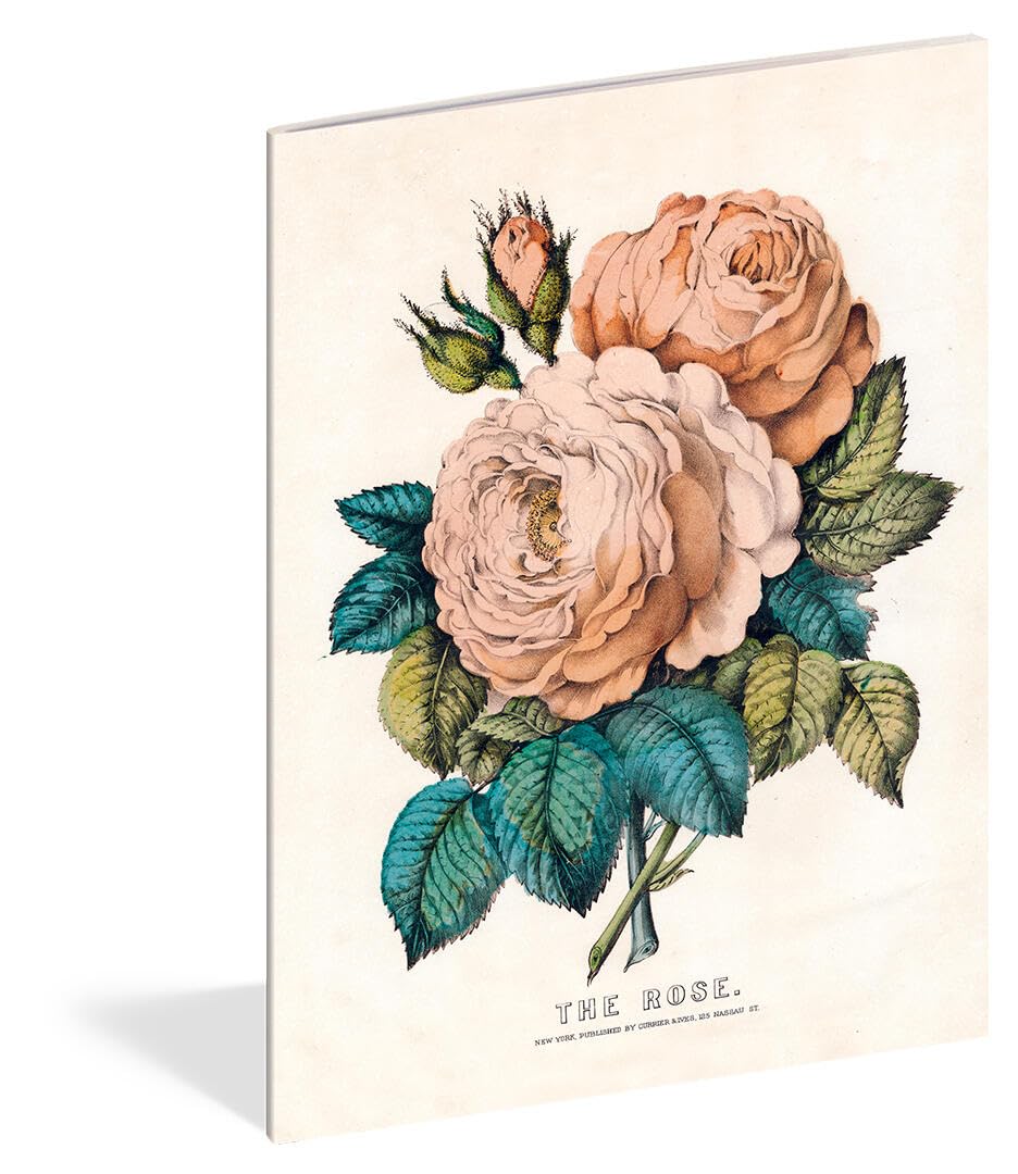 John Derian Paper Goods: Everything Roses 3 Notebooks