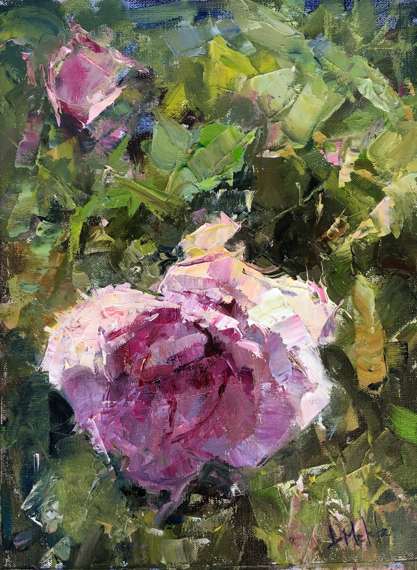 Garden Rose, Oil Painting