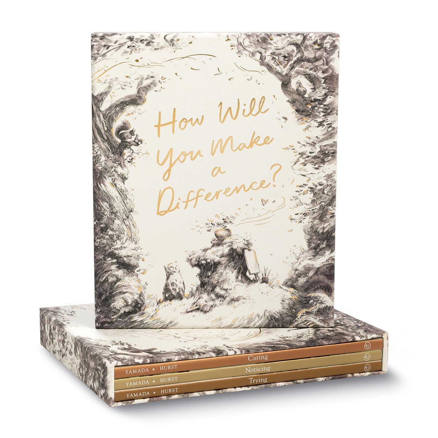 How Will You Make a Difference? 3 Boxed Set: Trying - Noticing - Caring