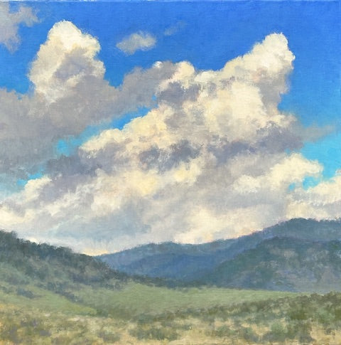 Wide Open Spaces, Meg Walsh