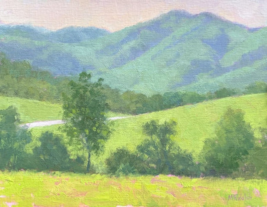 Look to the Hills, Meg Walsh