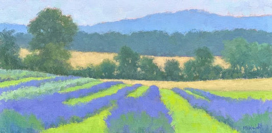Lavender Fields, Meg Walsh