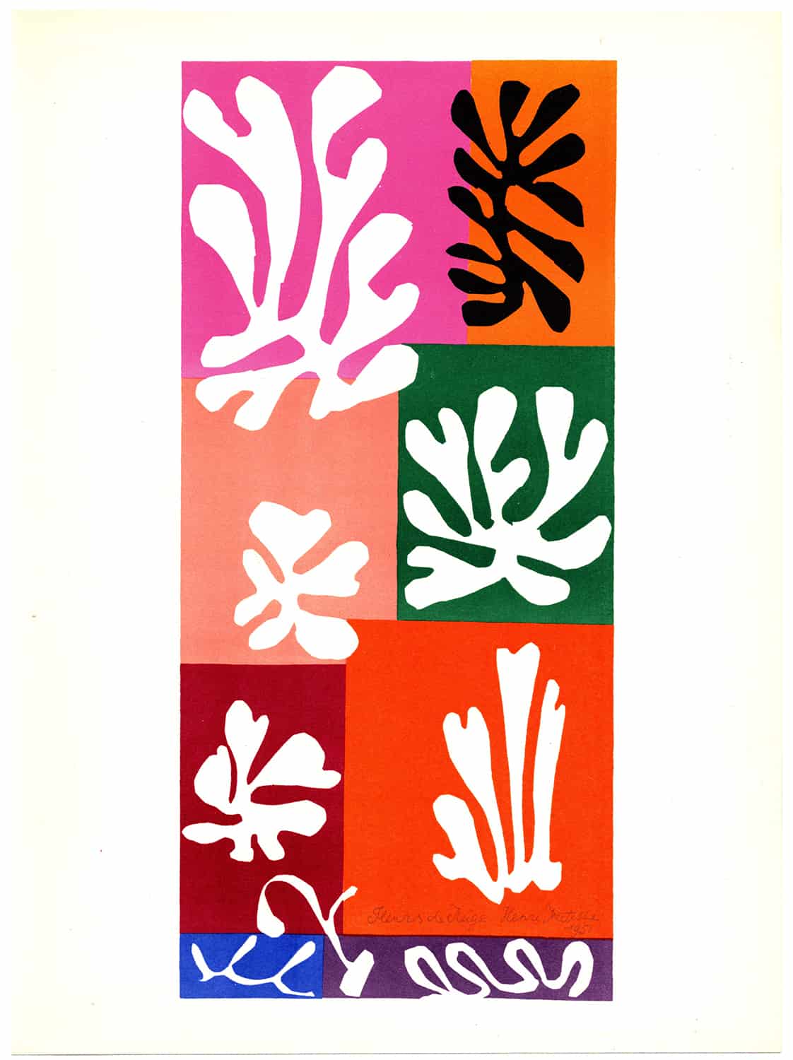 Fleurs de Niege, Henri Matisse