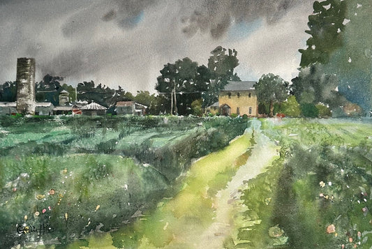 Virginia Cotton Fields, Catherine Hillis