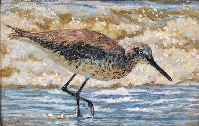 Along the Glittering Edge, Patricia McMahon Rice