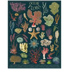 Ocean Flora Vintage Puzzle 1000 pc