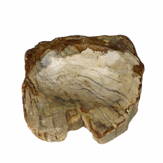Petrified Wood Soap Dish, One-of-a-kind - r. h. ballard shop & gallery