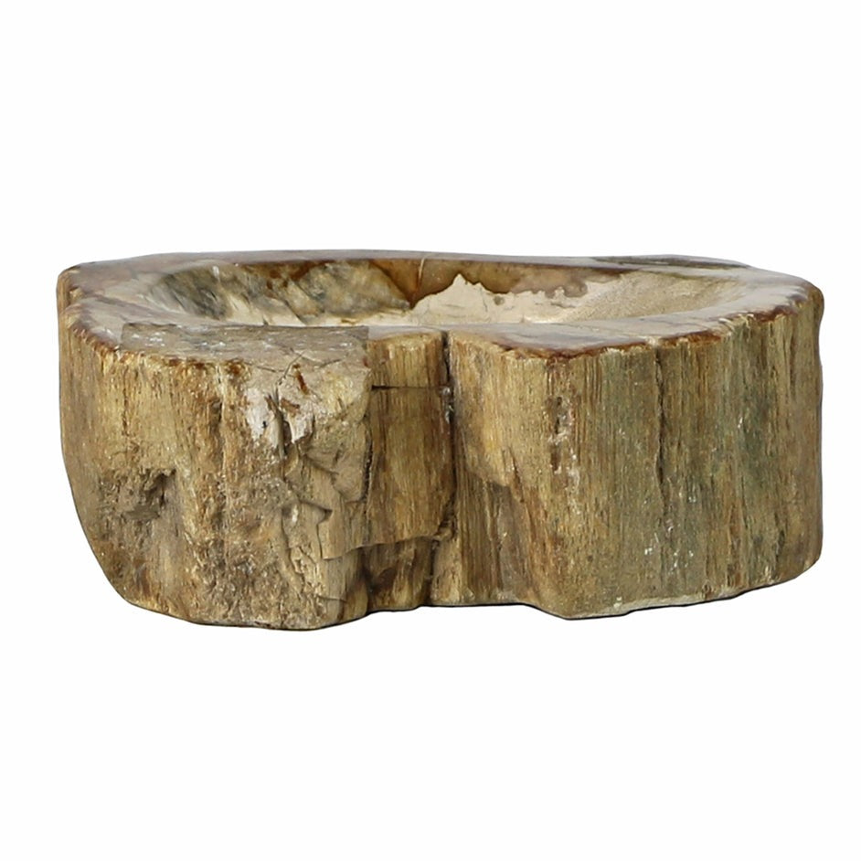 Petrified Wood Soap Dish, One-of-a-kind