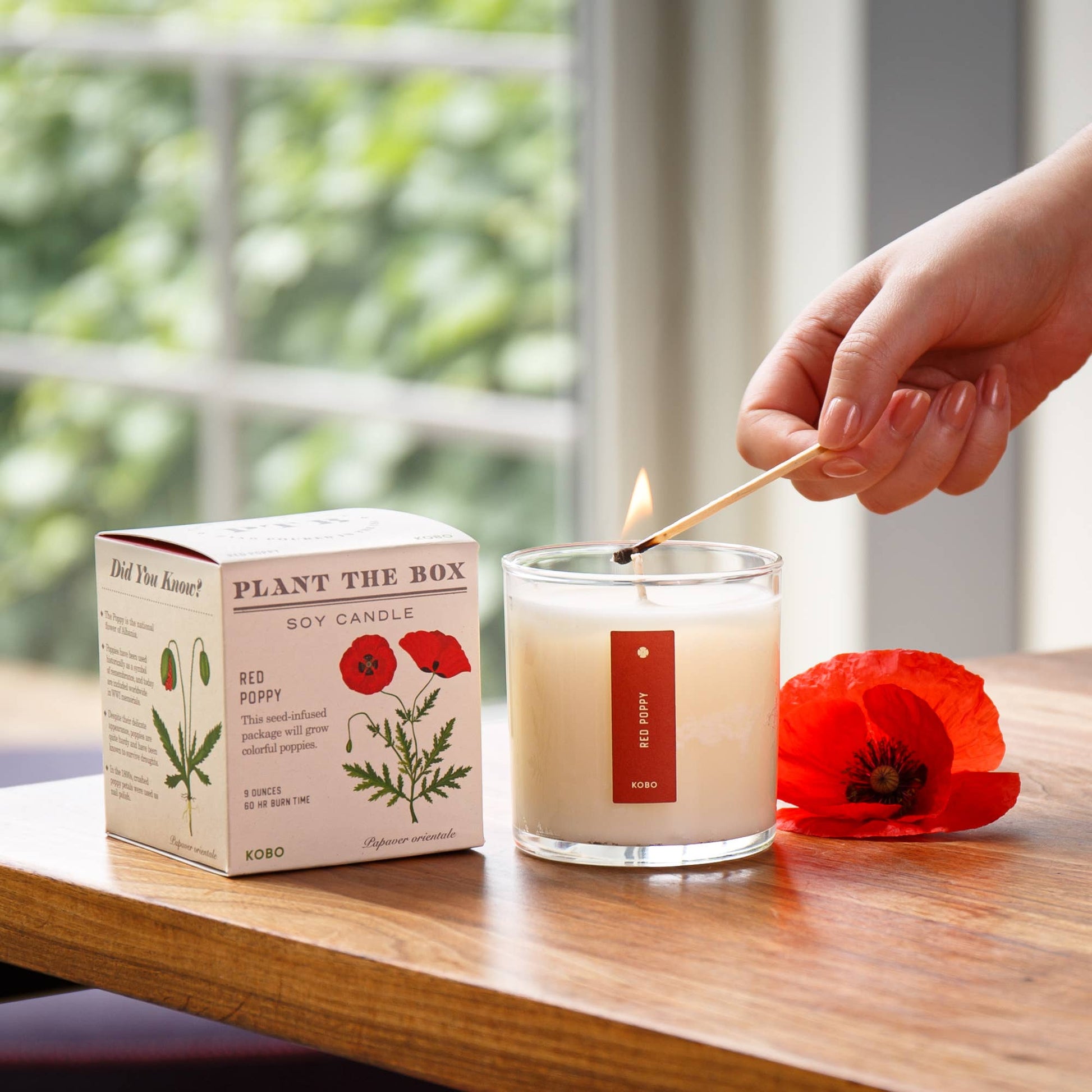 Red Poppy - Plant the Box Candle - 9oz. - r. h. ballard shop & gallery