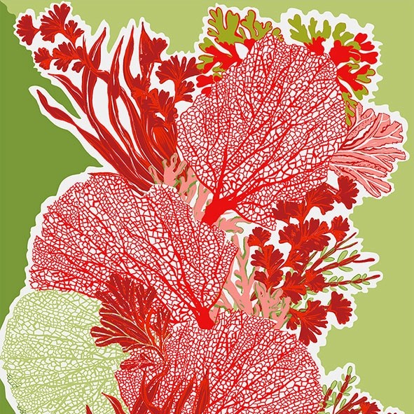 Sofia, Red & Green Cotton Scarf/Wrap