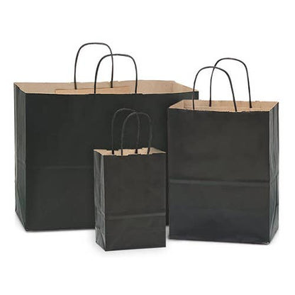 Recycled Kraft Color Paper Retail Shopping Bags: Black / 100 Pack / Rose 5.5x3.25x8.375" - r. h. ballard shop & gallery