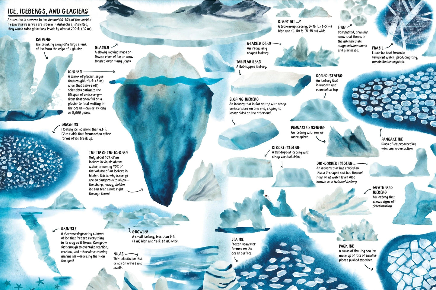 All About ANTARCTICA