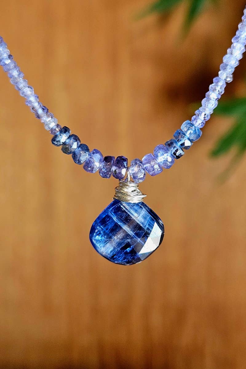 Kyanite & Tanzanite Earrings  EBL5025