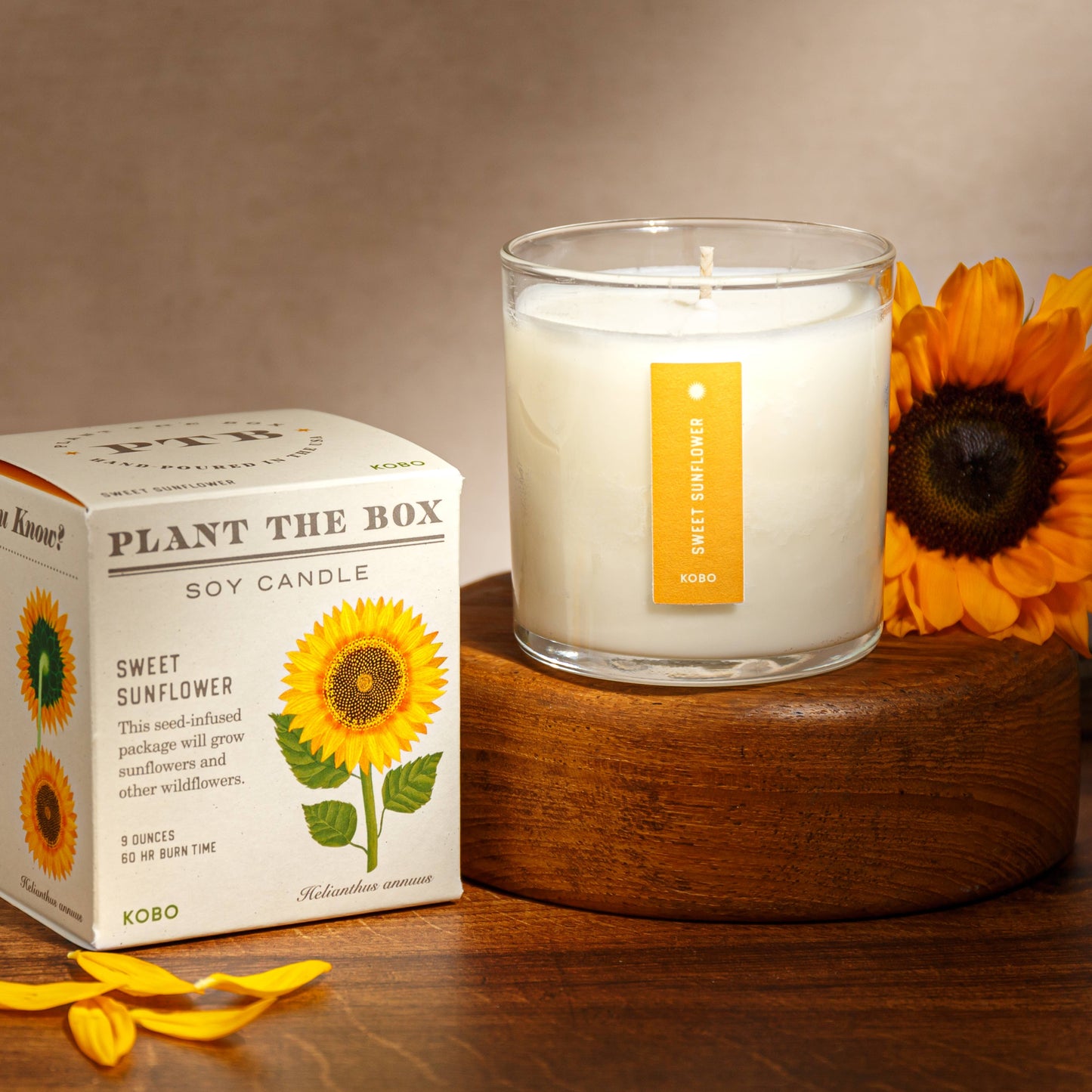 Sweet Sunflower - Plant the Box Candle - 9oz.