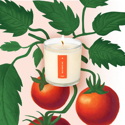 Wild Tomato Vine - Plant the Box Candle - 9oz.