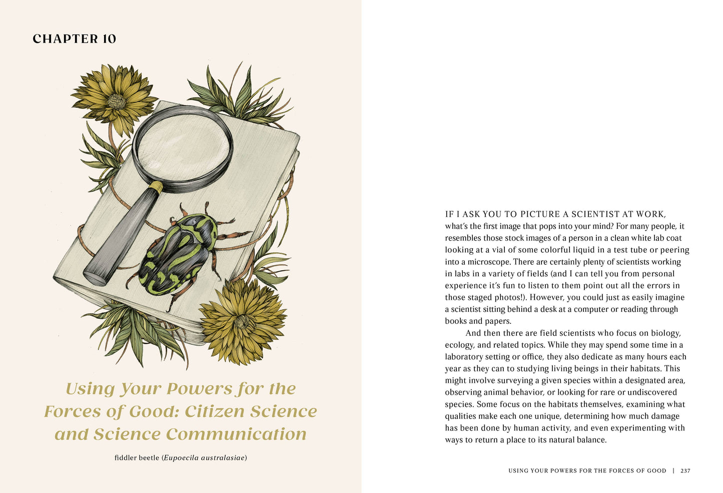 The Everyday Naturalist - r. h. ballard shop & gallery