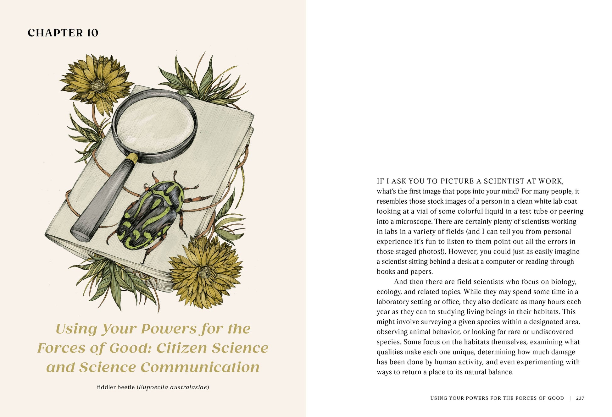 The Everyday Naturalist - r. h. ballard shop & gallery