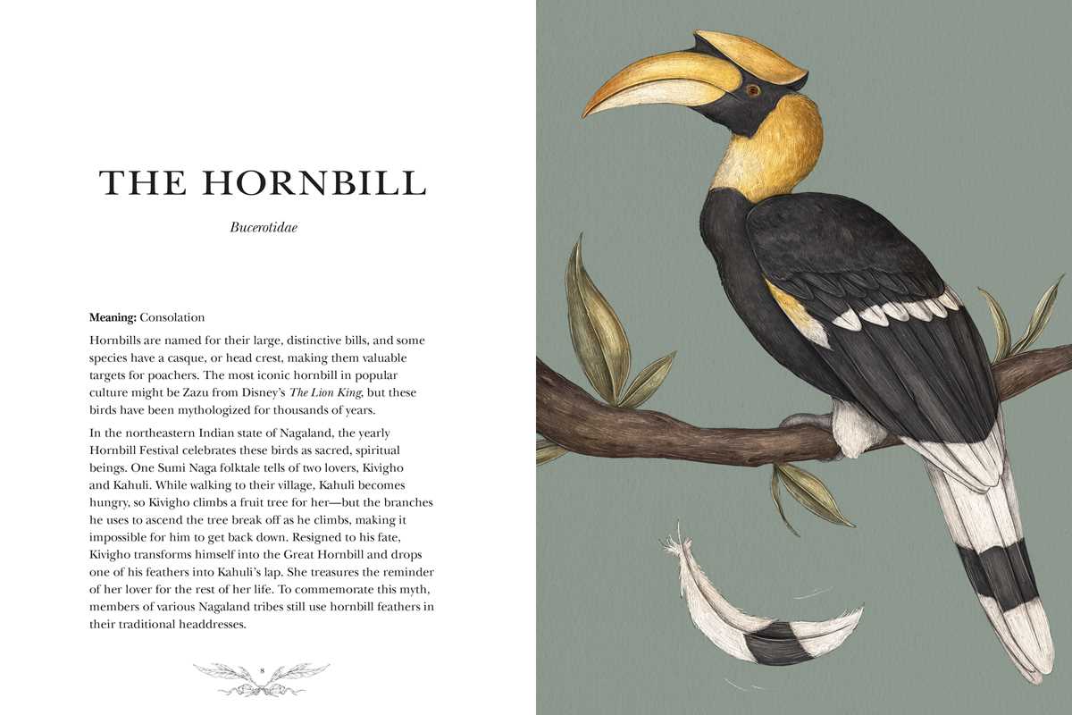 Ornithography by Jessica  Roux: Hardcover; 224 pages / English - r. h. ballard shop & gallery