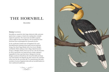 Ornithography by Jessica  Roux: Hardcover; 224 pages / English - r. h. ballard shop & gallery