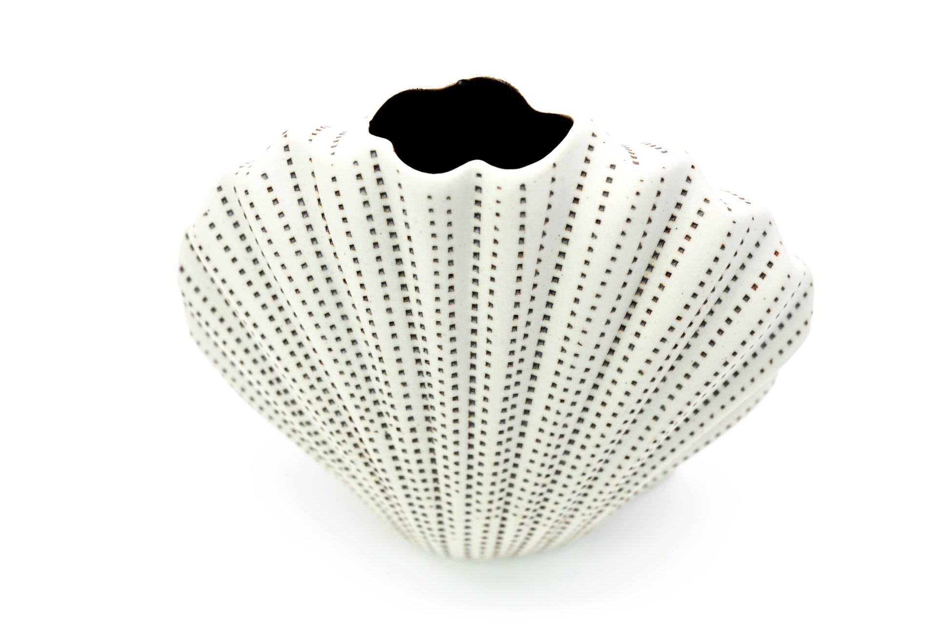 Decorative shell with a black mustache on a white background
